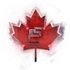 Square_esc_leaf_with_outline_white_bkgrd